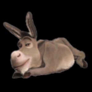 Meet your Posher, Sally